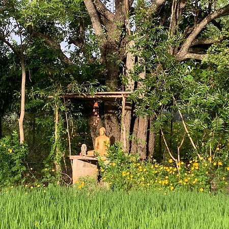 Sahana Retreat Buttala エクステリア 写真