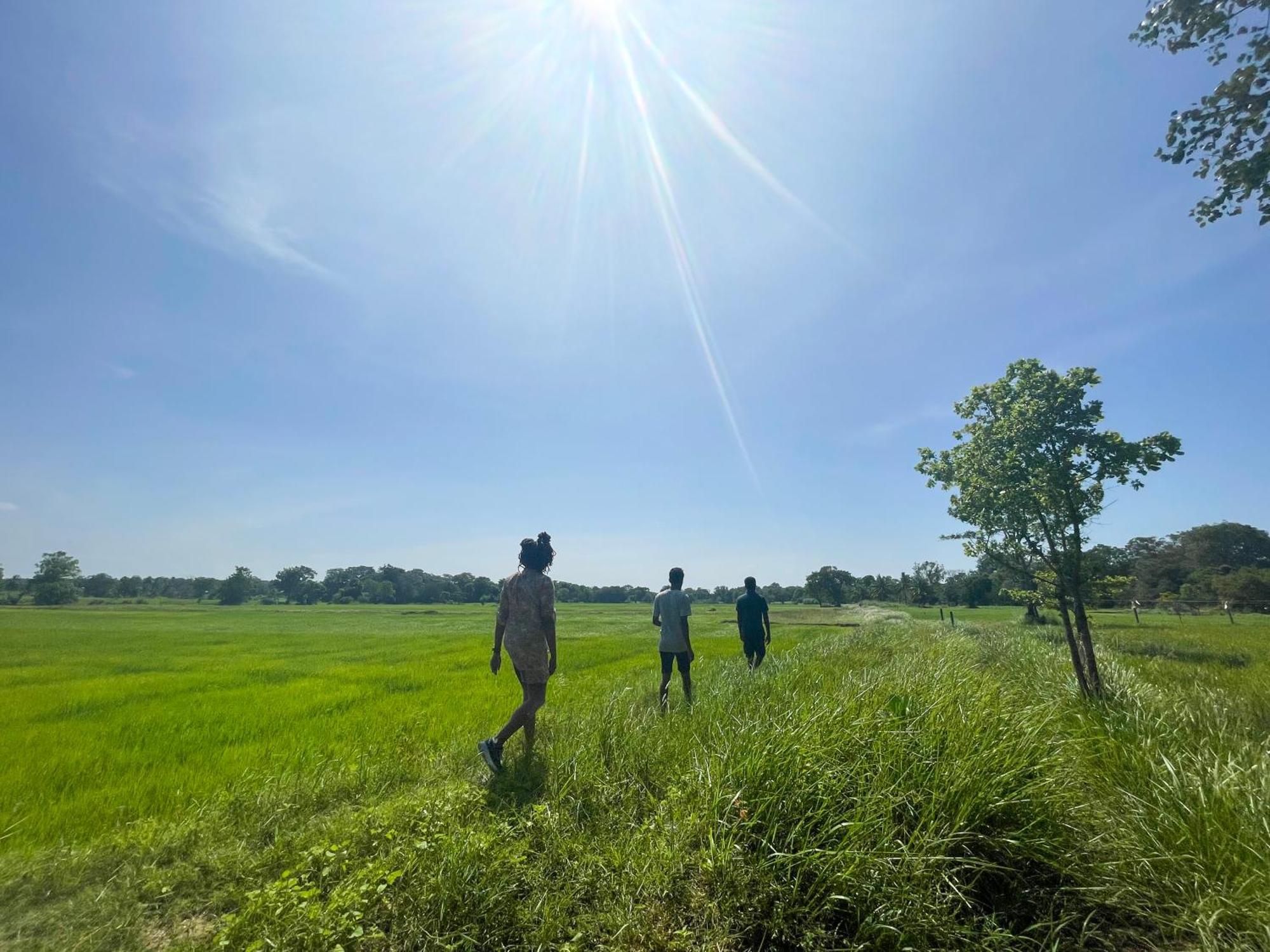 Sahana Retreat Buttala エクステリア 写真