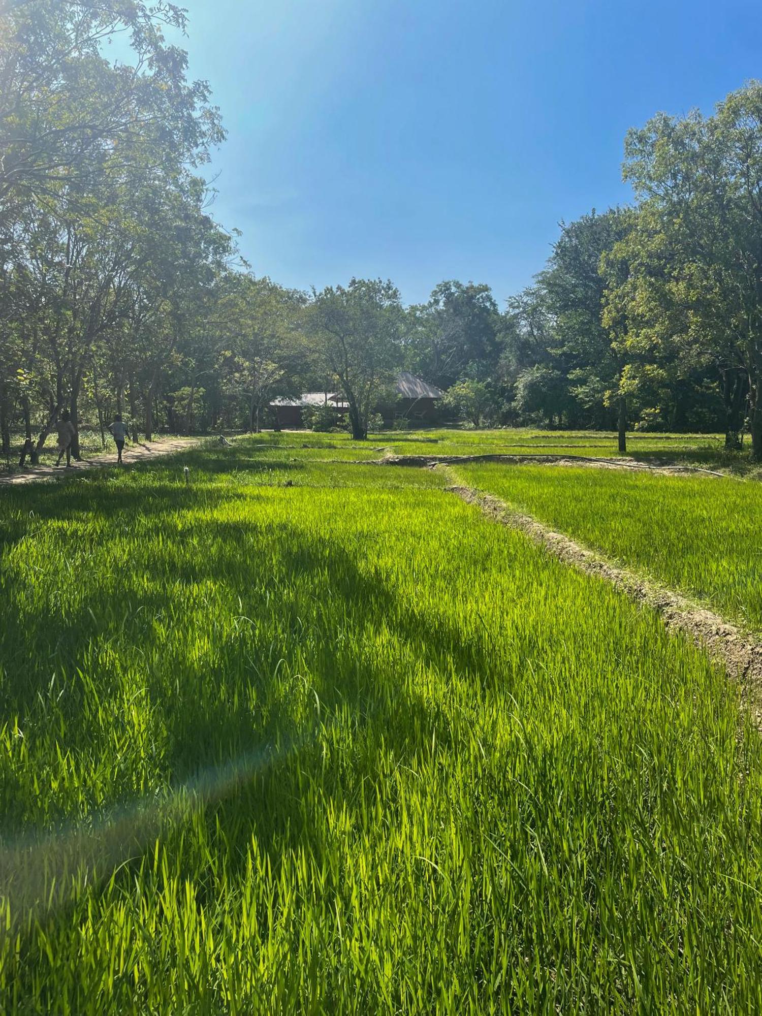 Sahana Retreat Buttala エクステリア 写真