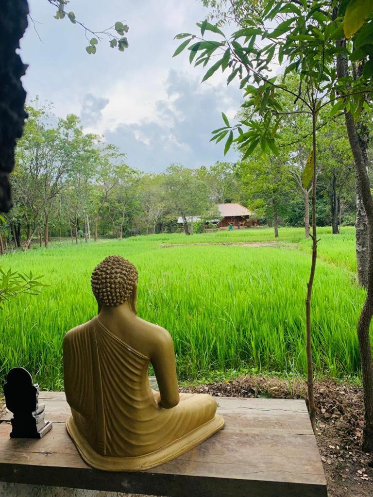 Sahana Retreat Buttala エクステリア 写真