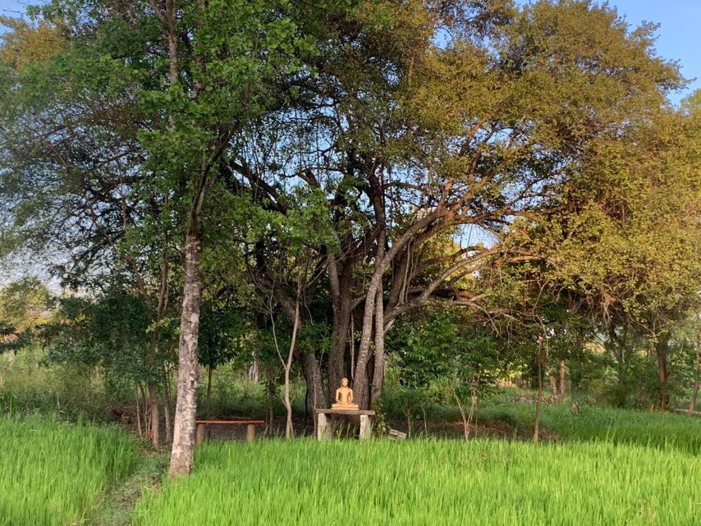 Sahana Retreat Buttala エクステリア 写真